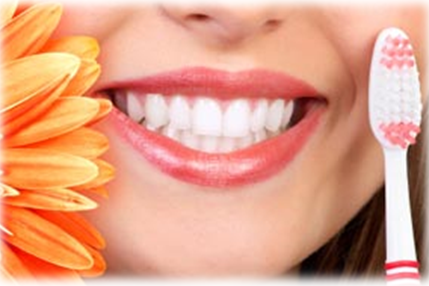 Bondi Dental | Prevent Gum Disease - Dentist Bondi