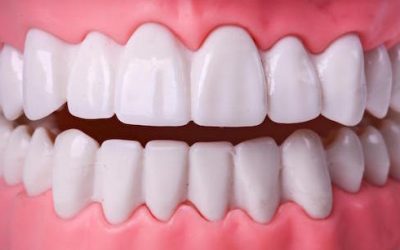 Tooth Anatomy: Types and Function of your Teeth